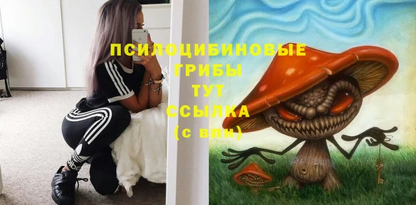 круглые Вязьма
